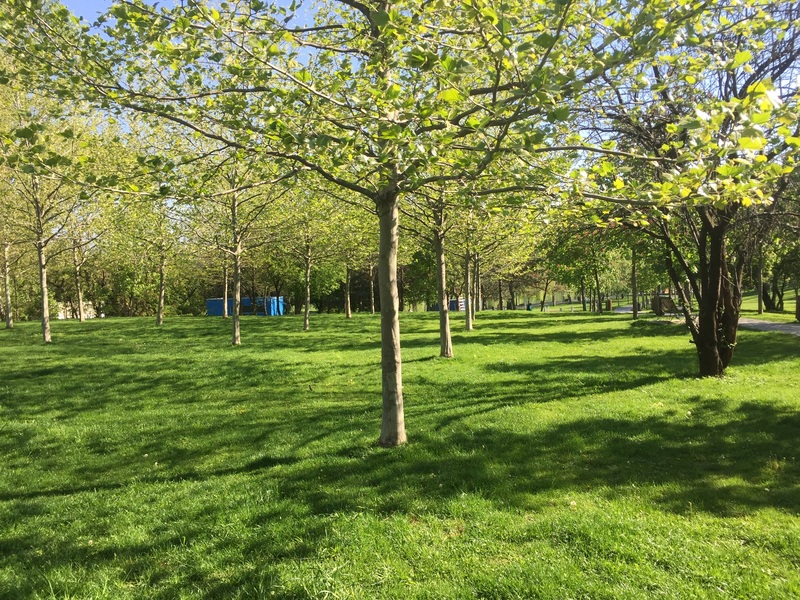 Matei Ambrozie, Park Lake, Parc Titan IOR