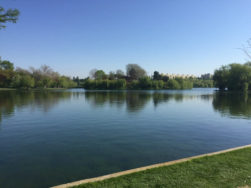 Matei Ambrozie, Park Lake, Parc Titan IOR