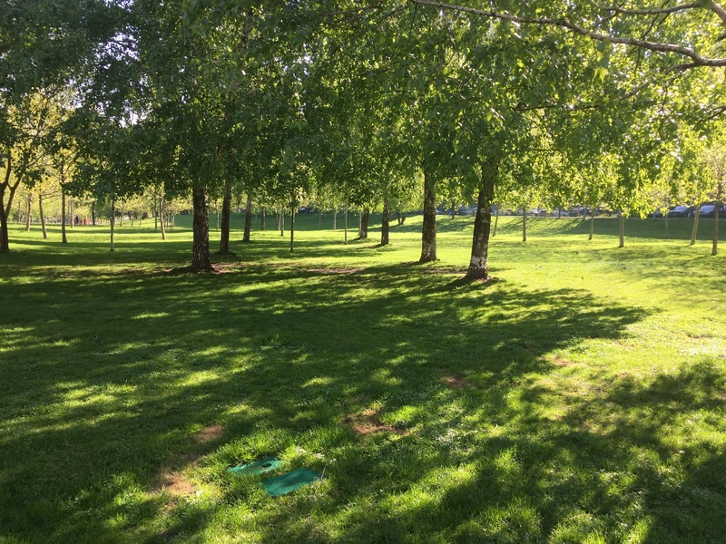 Matei Ambrozie, Park Lake, Parc Titan IOR