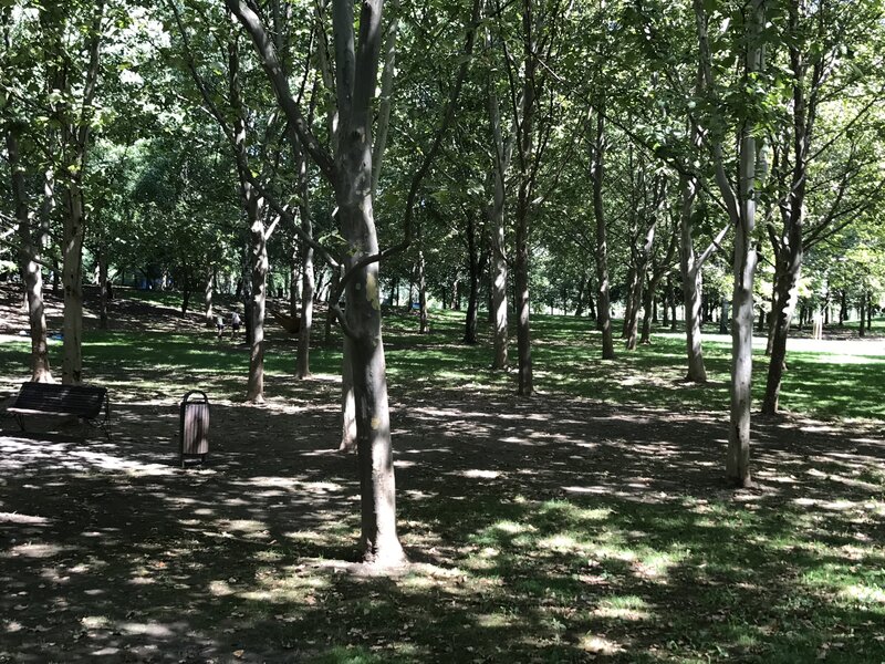 Matei Ambrozie, Park Lake, Parc Titan IOR