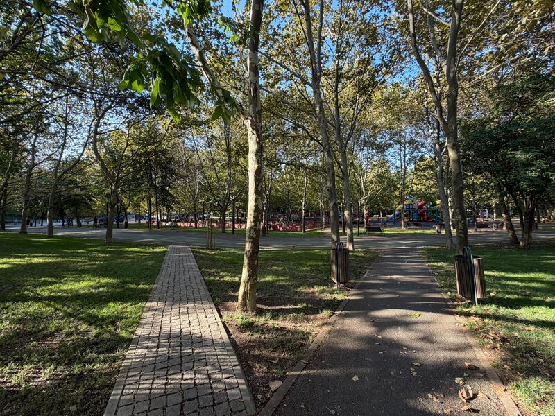 Matei Ambrozie, Park Lake, Parc Titan IOR