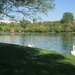 Matei Ambrozie, Park Lake, Parc Titan IOR