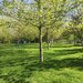 Matei Ambrozie, Park Lake, Parc Titan IOR