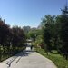 Matei Ambrozie, Park Lake, Parc Titan IOR