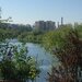 Matei Ambrozie, Park Lake, Parc Titan IOR
